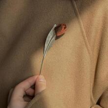 ���������Ů�@���|�����OӋ�ٴ�ŏ͹���ϵ���s���ֵ�r�Џ͹�