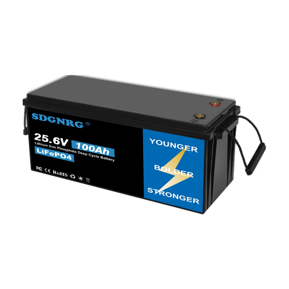 25.6V lead to lithium battery 100ah 200ah RV golf cart solar