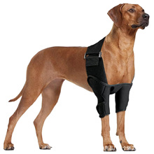 ���R�d����֧�ܹ�ǰ��ϥ�w�o�|�����o�Ᵽ�o�|���Ȯ��ͼ粿֧��