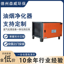 厂家定制油烟净化器酒店餐饮饭店烧烤除烟除味静电式油烟净化器