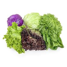蔬菜沙拉组合斤新鲜混合蔬果色拉生吃食材套餐生菜沙拉厂一件批发