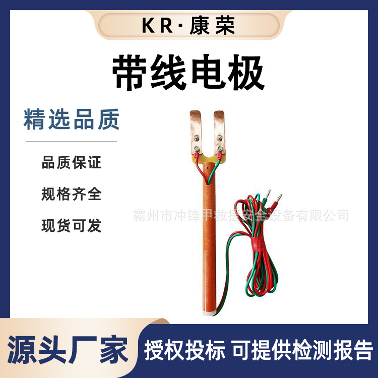 抗干扰绝缘电极棒ZF010529分流叉带线电极电阻表通用电极