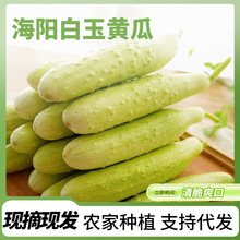 ���ں�ꖰ����S��5�����rˮ���Fժ���԰��S�Ϯ�������С�S�����