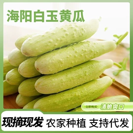 瓜果类;番薯类;块茎类