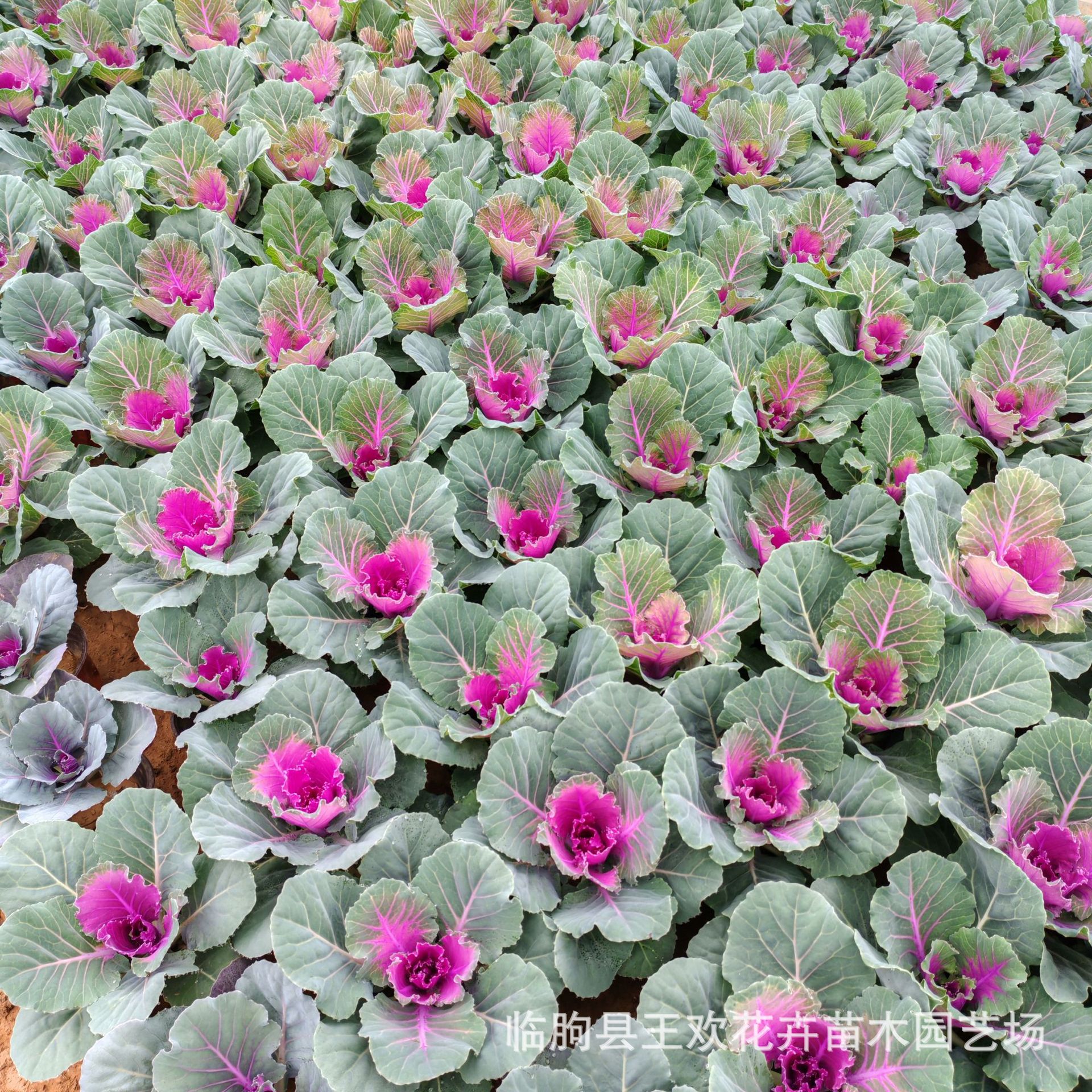 ffeac89f-94de-4298-906c-87b8e7