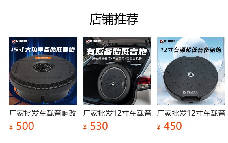 Manufacturer Wholesale Car Audio Modification High-Power Active 12V 12inch Car Active Spare Tire Subwoofer