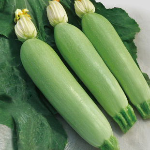 ���l�߲˷N�������J�N����Ʒ�������J�ѷN����С���ˌ����J�ļ�