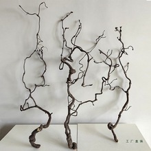 ������֦��֦����b���Ȼ������צ�廨��֦����ˇ�g�L�ɶU��ɻ�