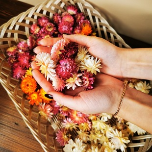 ���Դ�^���Sɢ�b�ջ��^�ֹ����ϸɻ������ջ��^���l��˹���߲ʾ�