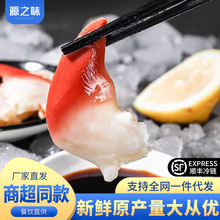 整颗北极贝新鲜冷冻日料刺身整只大号冷冻寿司冰鲜伴侣整颗批发