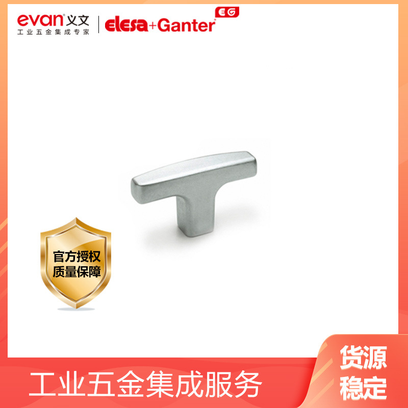 伊莉莎冈特ELESA+GANTER操作手柄T形手柄 GN563.2