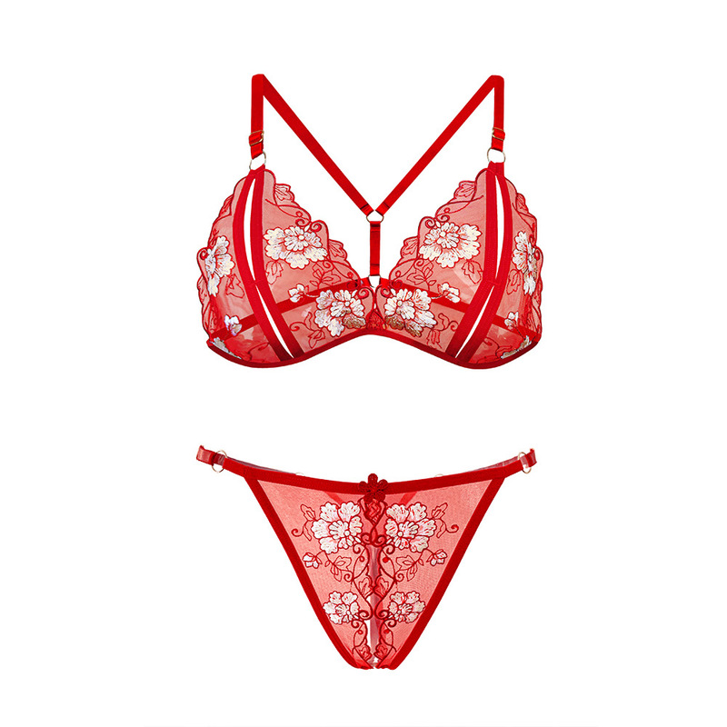 Floral Bra Set with Transparent Mesh Embroidery, Sexy Thong with Open Crotch for Women, Hot and Sexy, Wholesale from Manufacturer