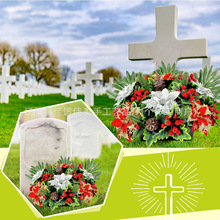 �q��һƷ�t�軨�}�Q���羳��̟��u ���R�d�b��滨�����b���