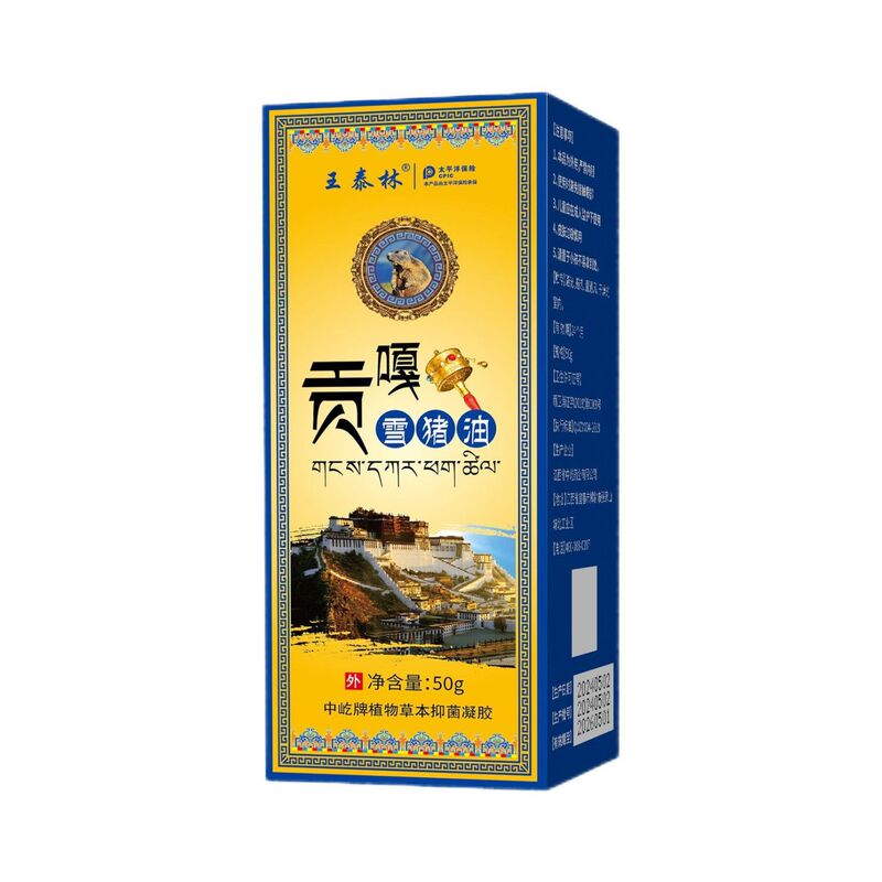 王泰林 ゴンガスノーバター抗菌ジェル 50g|undefined