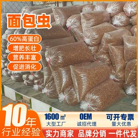 观赏鱼饲料;仓鼠零食;动物性饲料