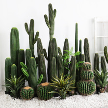 �������P���o���������쾰����������ᎧɳĮֲ��������Gֲ�b�