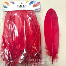 厂家批发贝硬飘鹅毛diy手工饰品配件工艺品猫玩具装饰羽毛彩色