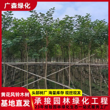 �S���L�ľ�����d�໨�S���L⏘�С��ͥԺ���^�乤�̾G���е���