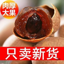 【新货12A】莆田桂圆核小肉厚龙眼干福建产多规格干货好