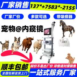 宠物医院检查仪器-B超机+彩超+内窥镜+监护仪组合套餐一站式