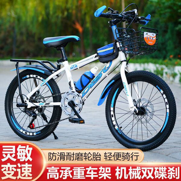 Bike for traveling for children and adults