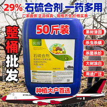 石硫合剂杀螨杀菌剂农药红蜘蛛介壳虫白粉病果树腐烂病园林清园剂