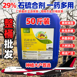 ʯ��τ����\�������rș�t֩��隤�x�׷۲����丯�����@����@��