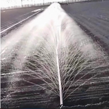 �r��΢�����ι����ι��1��2��2.5��3��4���܇����ˮ�����ܲˈ@