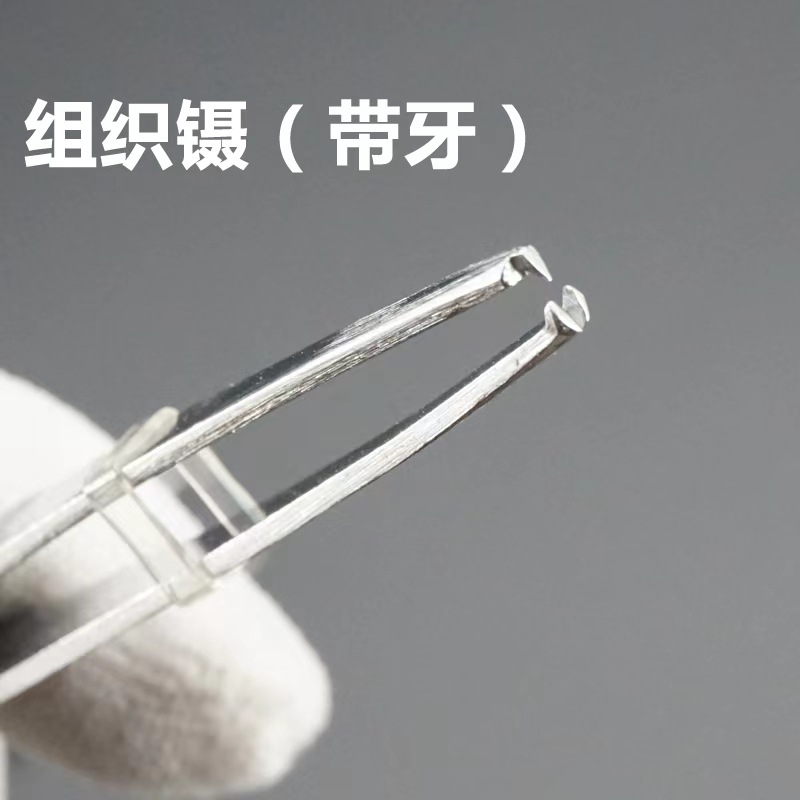 带齿镊子组织镊子鼠齿镊竖齿镊无镀层加厚不锈钢镊子头部带钩镊子