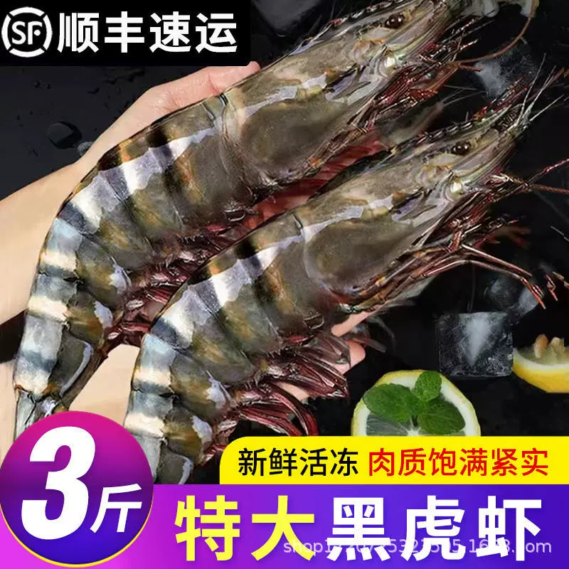 Черная Тигровая креветка Негабаритные свежие креветки Jumbo Тигровые креветки Свежие живые тигровые креветки Metapenaeus ensis Очень большие замороженные морепродукты Креветка Бамбуса