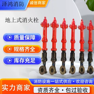 生产SS100/65室外消防栓防冻自泄消防器材消防栓 DN100室外消火栓
