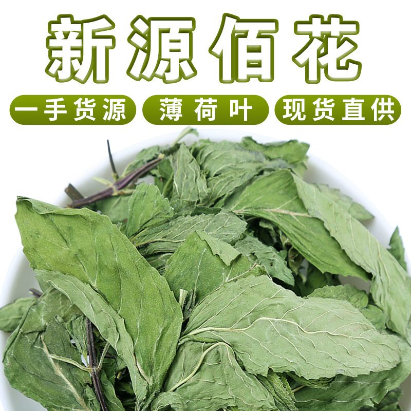 Wholesale Anhui Taihe Mint Leaf Tea Fresh Edible Dried Mint Leaf Tea New Goods Mint Leaf Granular Tea Bulk