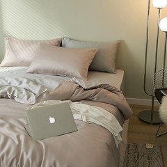 Solid Color 100% Lyocell Tencel Four-Piece Set Silk Texture Naked Sleep Summer Bedding Ice Silk Sheets Bed Skirt Bed Linen 