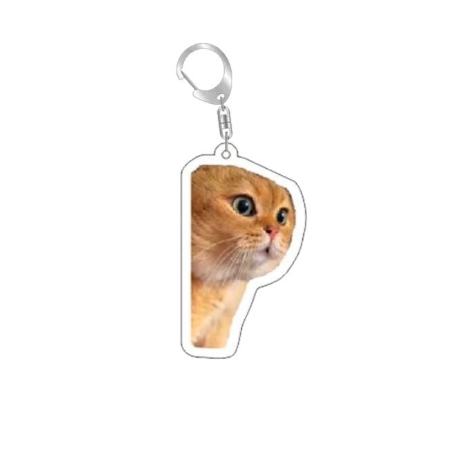 Colgar adornos Amazon popularidad en línea gatos gatos acrílicos llaveros escultura de arena interesante memes gatos gatos pequeños