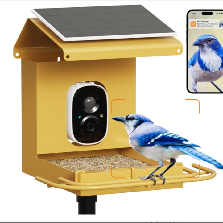 2024-06-15 11:52:57.jpg