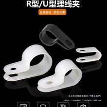 RA늾ӼӺ|̶~侀̶AU;