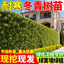 �������S���綬��������h�ʾGֲ�ļ������ͺ��G�hͥԺ�G���Gֲ