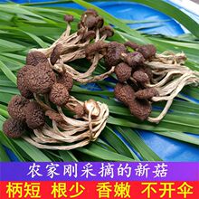 ����22�����r��乽���_���؛�������۽����V���r���خa250g500g