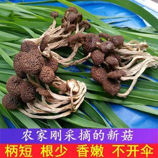 ����22�����r��乽���_���؛�������۽����V���r���خa250g500g