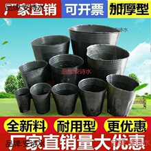 ��ľ�I�B������һ���Դ�������N���辰�Nֲ�ڰ�Ĥ�����Ѩ�P��