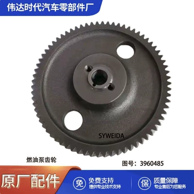 pump gear 3960485/3960485 – Flywheel/Gear