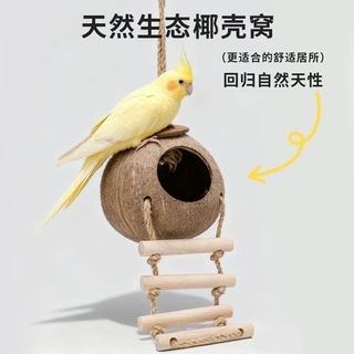 比克熊鸟笼椰子壳躲避屋鹦鹉玄凤牡丹虎皮鸟巢冬暖夏凉造景悬挂窝