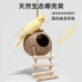 悬挂椰子壳牡丹鸟笼