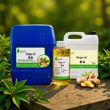 �������ϏS��������ֲ�����s��ȡ�l�ᄩ�ջ���Ħ����ԭ�� ����