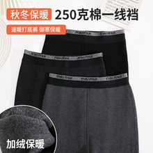 �ﶬ��Ʒ��С��ѝ250��ϵ�ɾo����һ���n�ӽq�@�������⴩���ѝ