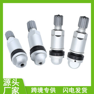 Great Wall Harvard Tire Pressure Valve Tire Pressure Monitoring Sensor Tubeless Aluminum Alloy Valve Car Accessories