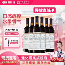 ͨ����ظɼt���Ѿ� 750ml/ƿ�t�Ƴ�ϼ��ɼt���Ѿ�