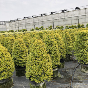 ����Ůؑ���������� ��Ϟ���F�������� Ϟ�� �ɶ��@�־G����ľ��