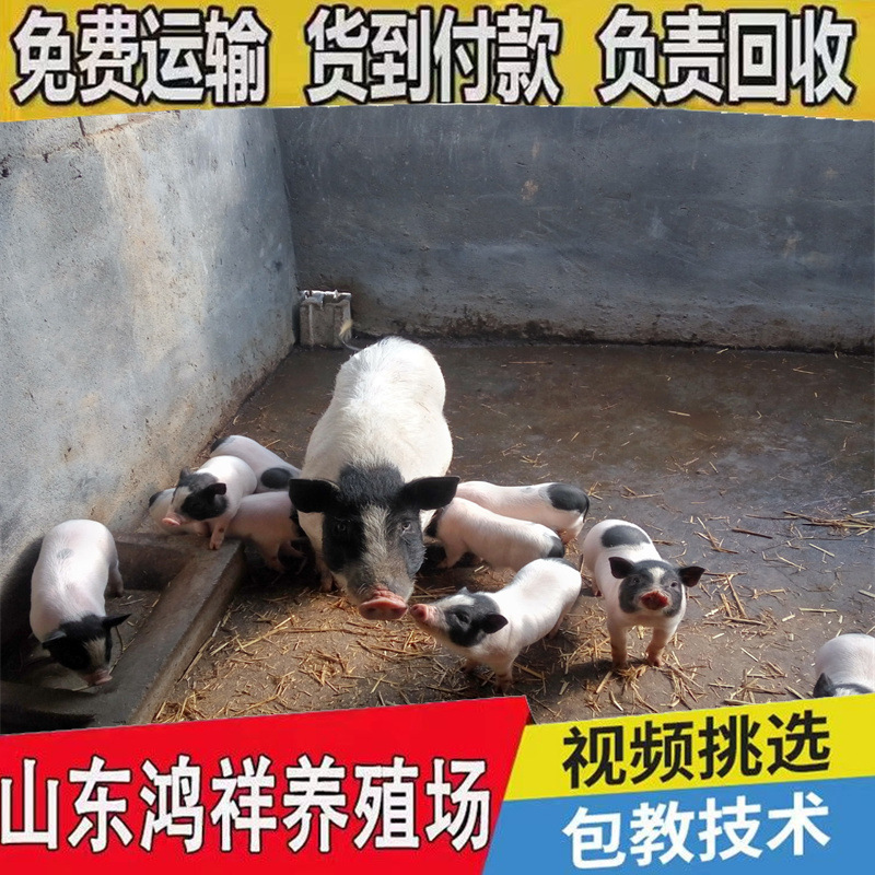 3d07fadd205a4f0dae5837e9b26eac