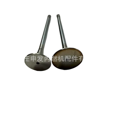 4255254, Valves and components